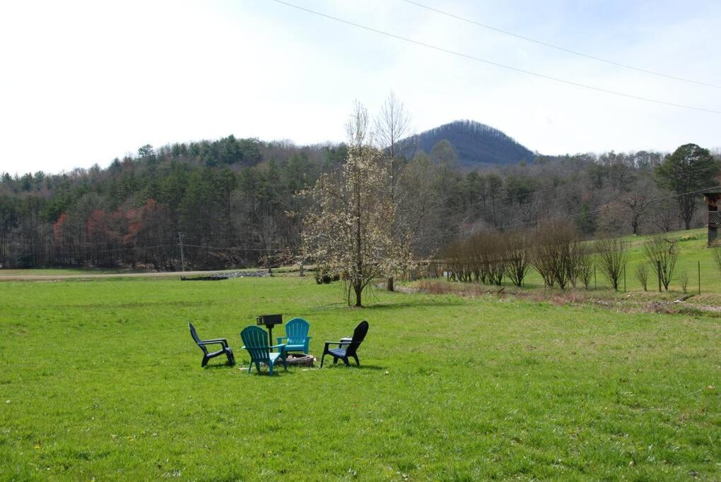 Cozy Cottage With Full View Of The Mountains! Blue Ridge Zewnętrze zdjęcie